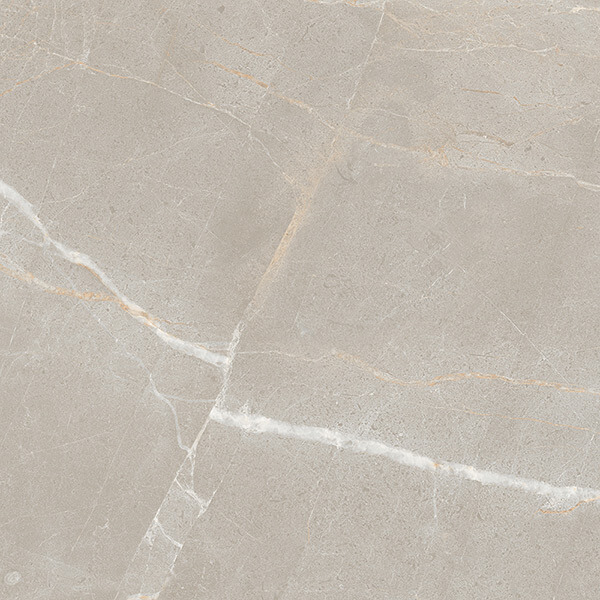 Керамогранит AVS by Colortile Spiderweb Silver 60x60 полированный Керамогранит AVS by Colortile Spiderweb Silver 60x60 полированный