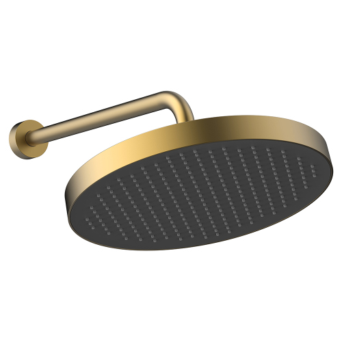 Верхний душ с кронштейном AVS Basic брашированное золото Верхний душ с кронштейном AVS Basic брашированное золото