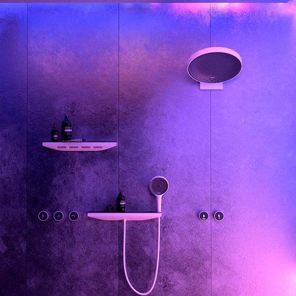 Боковой душ 360 с полкой Rainfinity Hansgrohe 26243700 Боковой душ 360 с полкой Rainfinity Hansgrohe 26243700