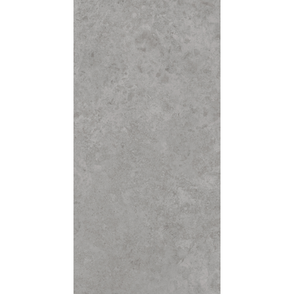 Керамогранит AVS by Italian Design Antica Grey 60x120 Lappato Керамогранит AVS by Italian Design Antica Grey 60x120 Lappato