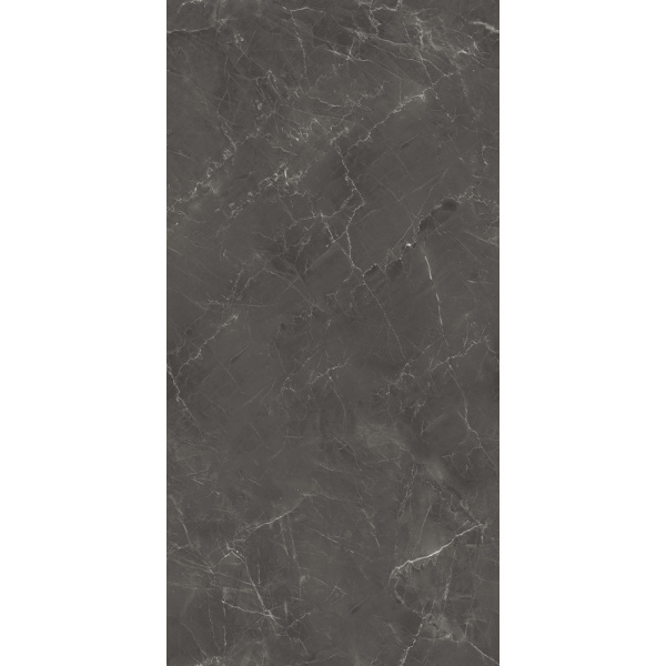 Керамогранит AVS Nivea Grey 60x120 полированный Керамогранит AVS Nivea Grey 60x120 полированный