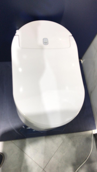 120172 монтажная сист в компл с унитазом, SENSIA ARENA+ клав хром 4 в 1 120172 монтажная сист в компл с унитазом, SENSIA ARENA+ клав хром 4 в 1