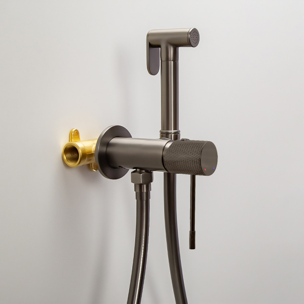 Гигиенический душ со смесителем AVS Seeme оружейная сталь Гигиенический душ со смесителем AVS Seeme оружейная сталь